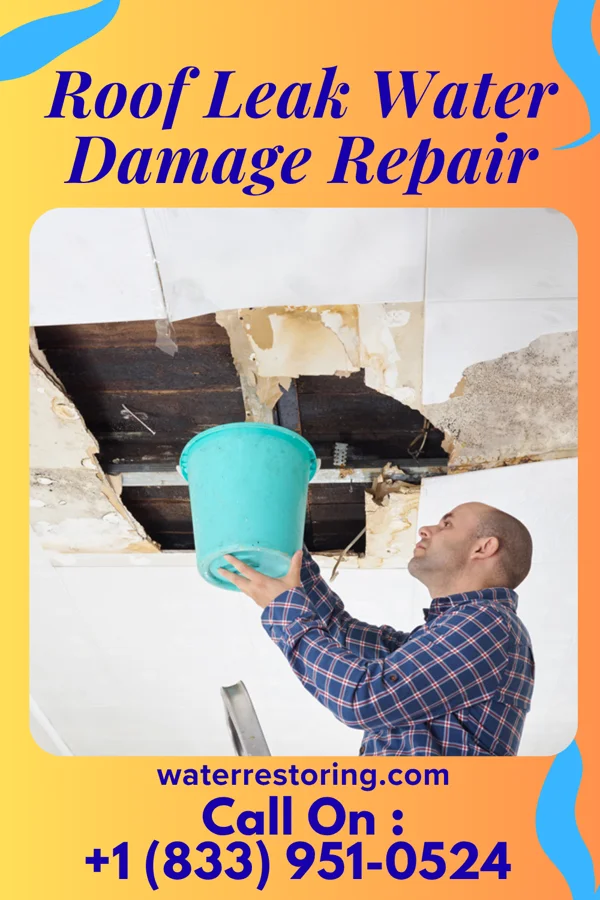 Roof Leak Water Damage Repair in South Acomita Village, NM